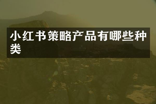 小红书策略产品有哪些种类