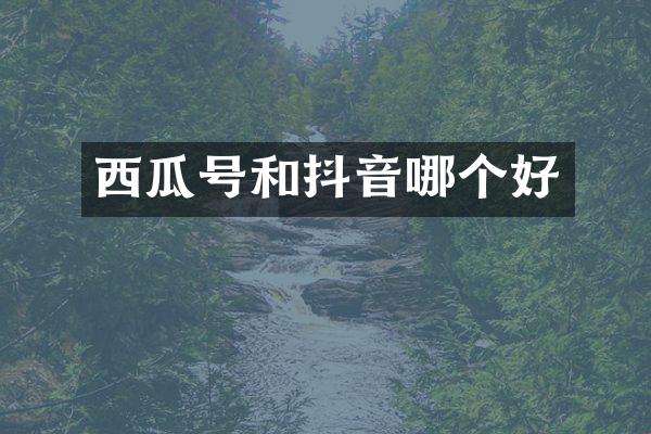 西瓜号和抖音哪个好