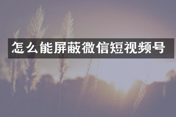 怎么能屏蔽微信短视频号