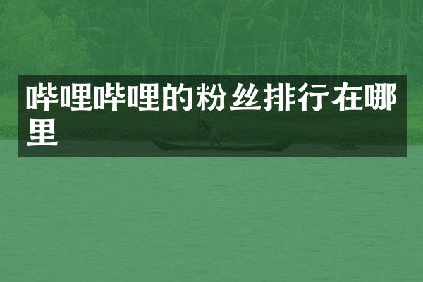 哔哩哔哩的粉丝排行在哪里