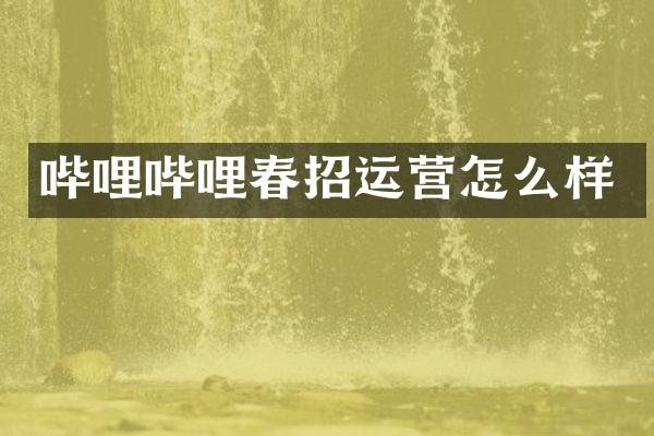 哔哩哔哩春招运营怎么样