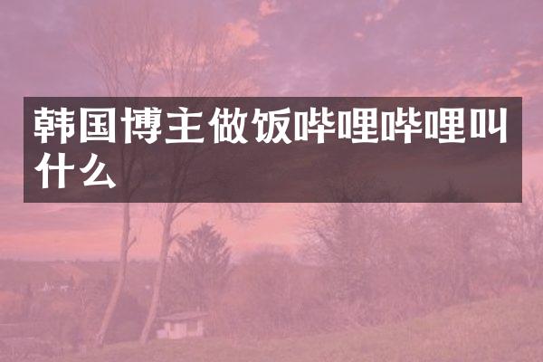 韩国博主做饭哔哩哔哩叫什么