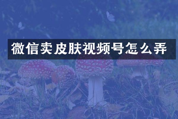 微信卖皮肤视频号怎么弄