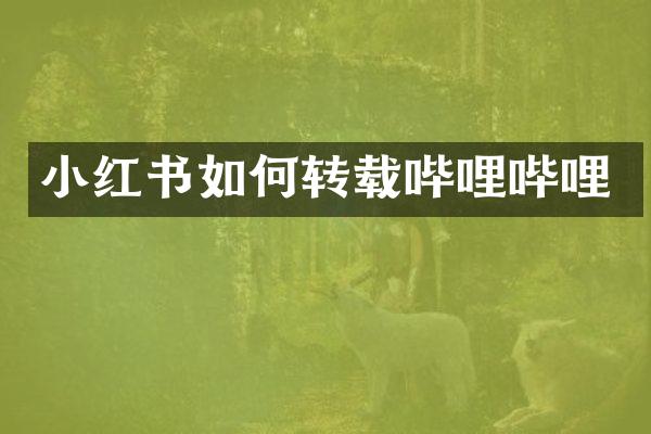 小红书如何转载哔哩哔哩