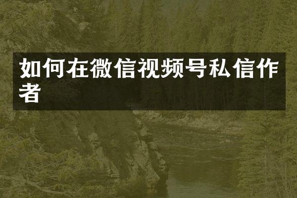 如何在微信视频号私信作者