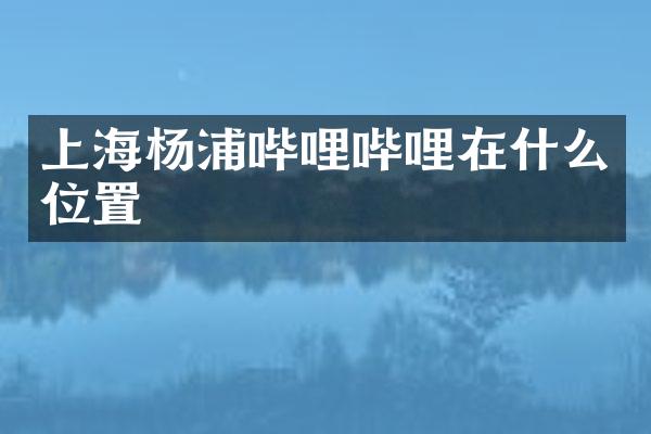 上海杨浦哔哩哔哩在什么位置
