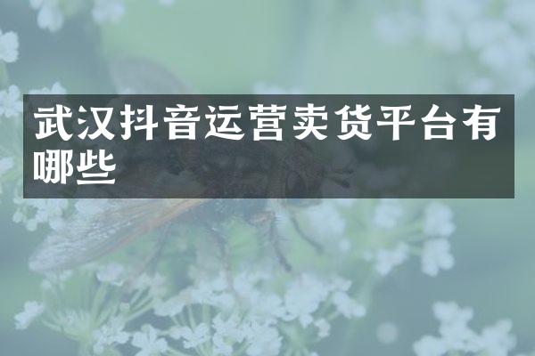 武汉抖音运营卖货平台有哪些