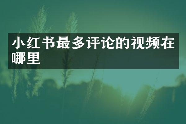 小红书最多评论的视频在哪里