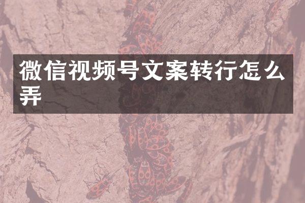 微信视频号文案转行怎么弄