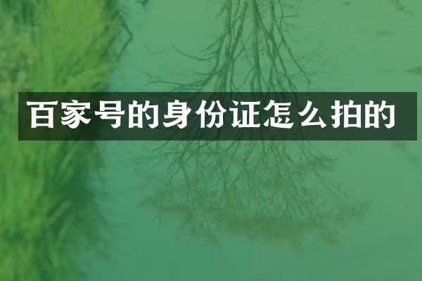 百家号的怎么拍的
