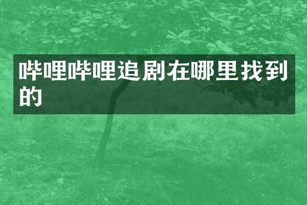 哔哩哔哩追剧在哪里找到的