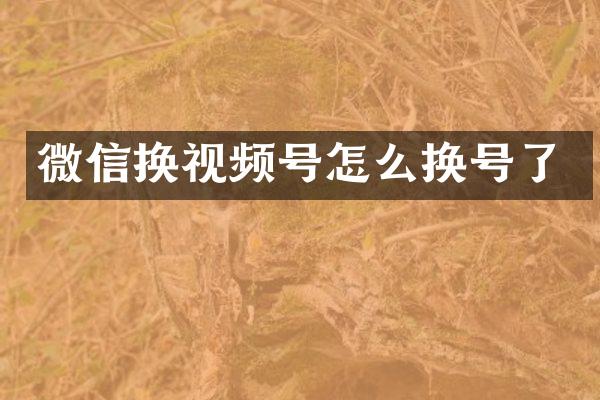 微信换视频号怎么换号了