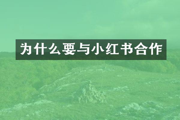 为什么要与小红书合作