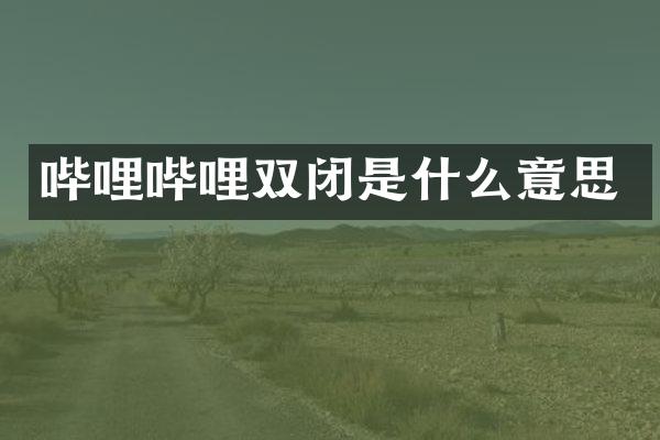哔哩哔哩双闭是什么意思