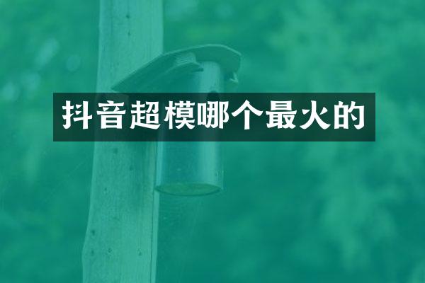 抖音超模哪个最火的