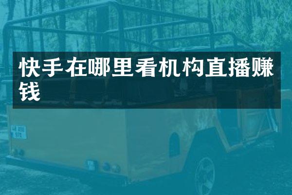 快手在哪里看机构直播赚钱