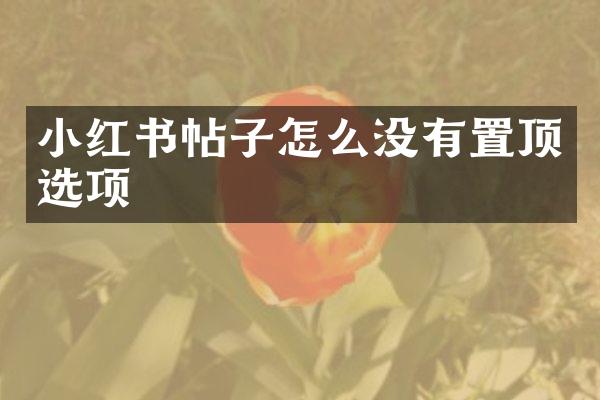 小红书帖子怎么没有置顶选项