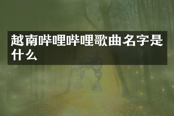 越南哔哩哔哩歌曲名字是什么