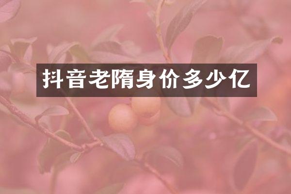 抖音老隋身价多少亿