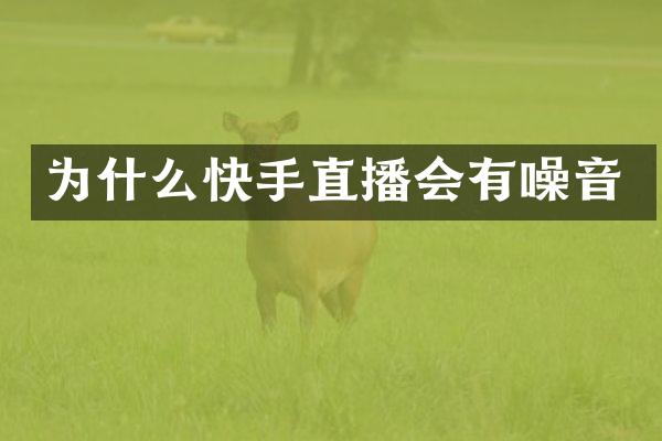 为什么快手直播会有噪音