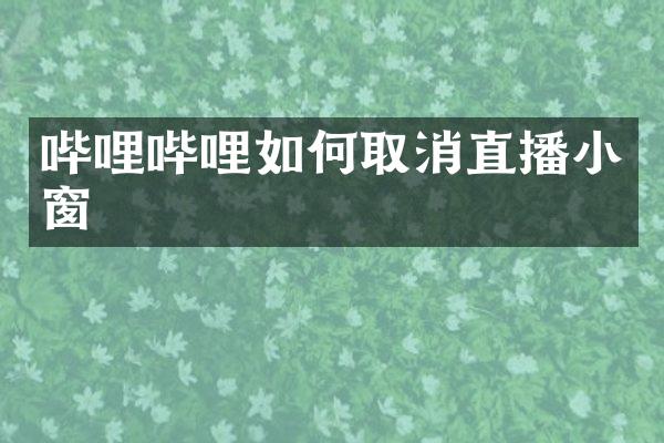 哔哩哔哩如何取消直播小窗
