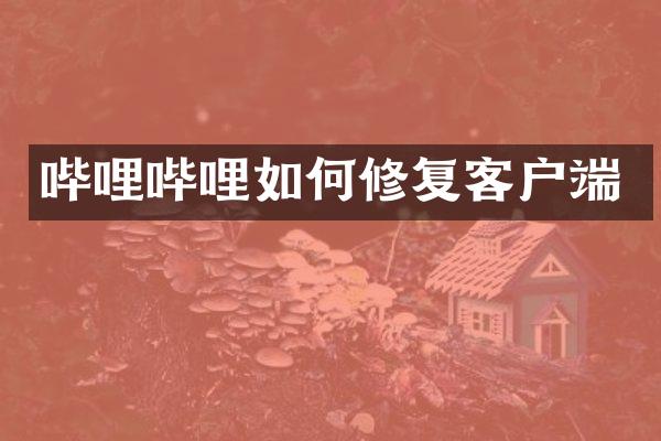 哔哩哔哩如何修复客户端
