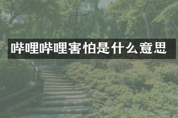 哔哩哔哩害怕是什么意思