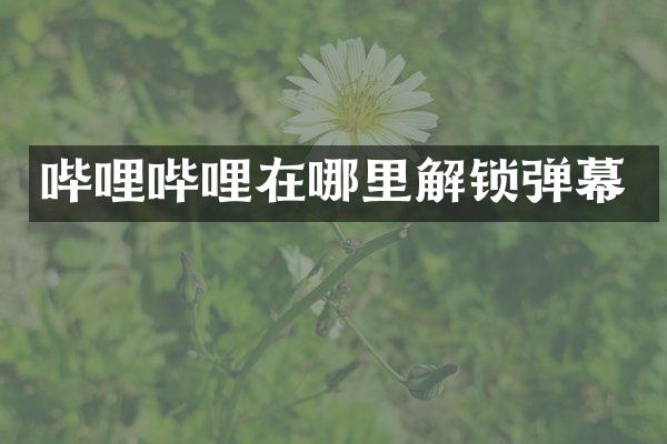 哔哩哔哩在哪里解锁弹幕