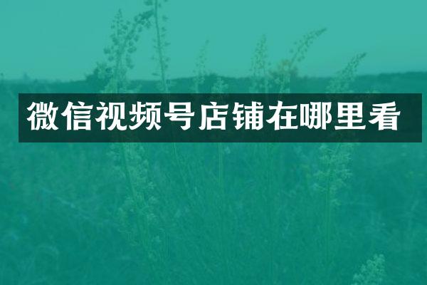 微信视频号店铺在哪里看