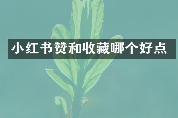 小红书赞和收藏哪个好点