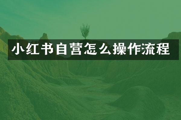小红书自营怎么操作流程