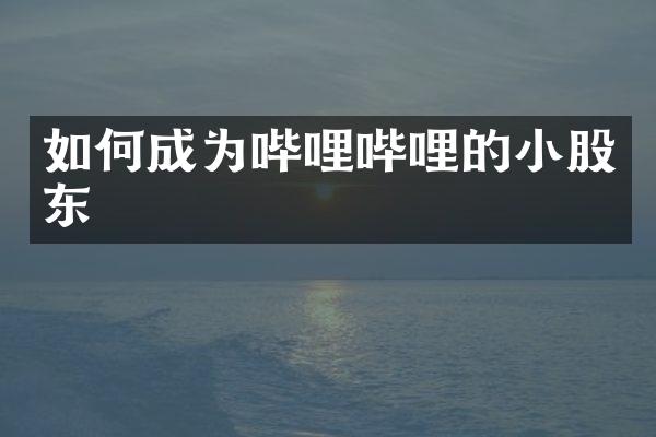 如何成为哔哩哔哩的小股东