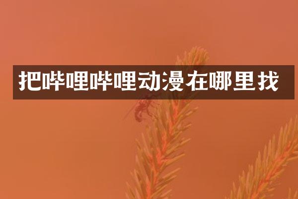 把哔哩哔哩动漫在哪里找