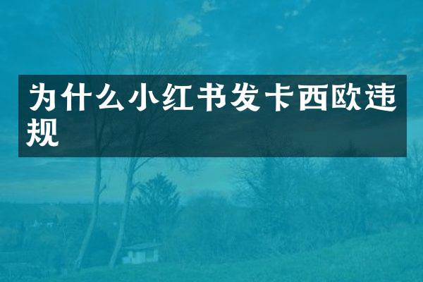 为什么小红书发卡西欧违规