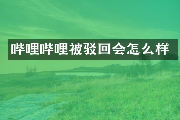 哔哩哔哩被驳回会怎么样
