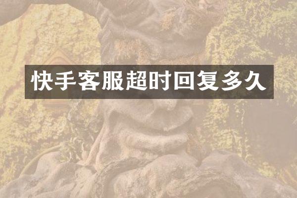 快手客服超时回复多久