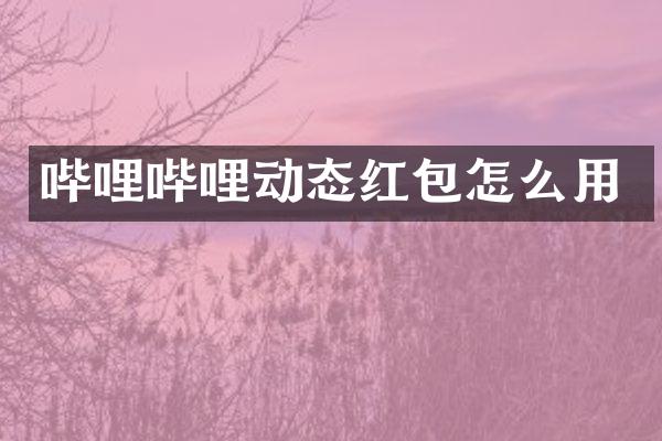 哔哩哔哩动态红包怎么用