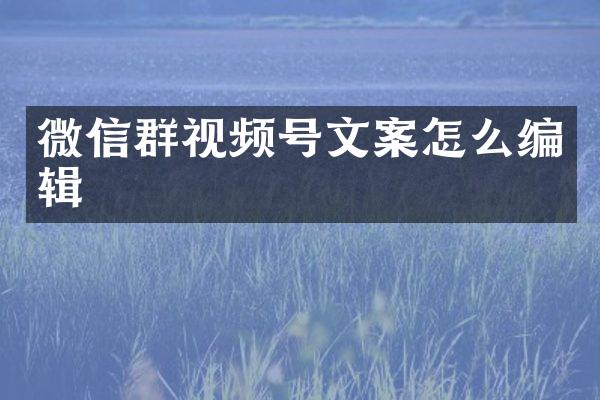 微信群视频号文案怎么编辑