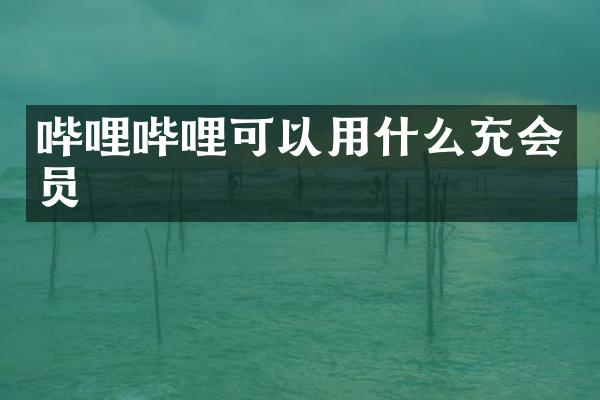 哔哩哔哩可以用什么充会员