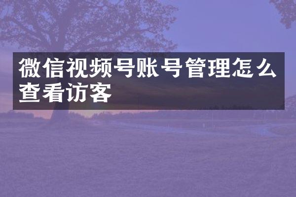 微信视频号账号管理怎么查看访客