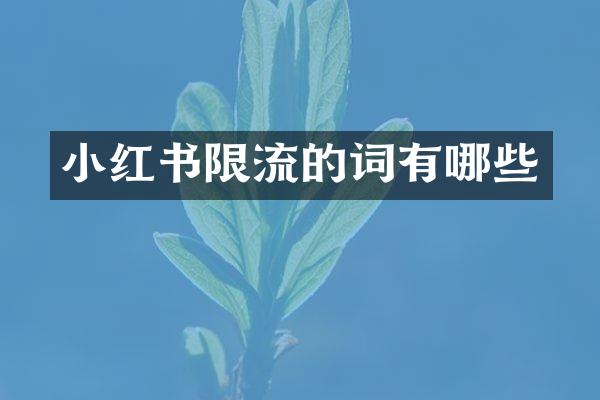 小红书限流的词有哪些