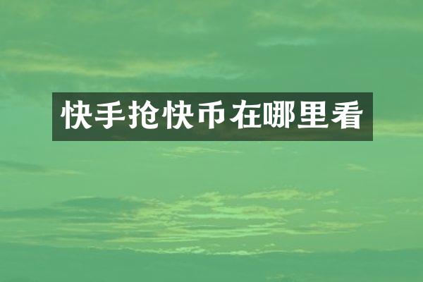 快快币在哪里看