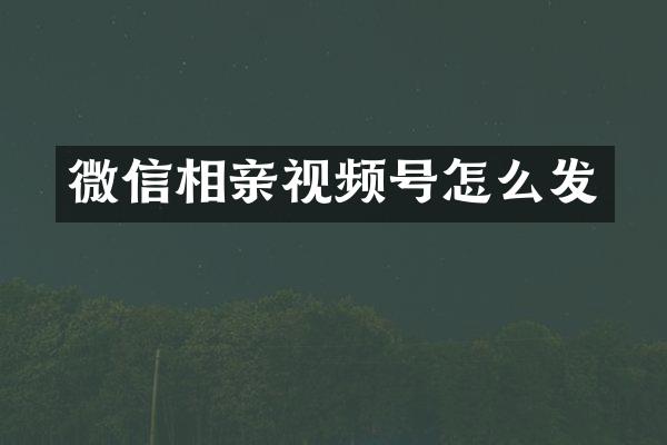微信相亲视频号怎么发
