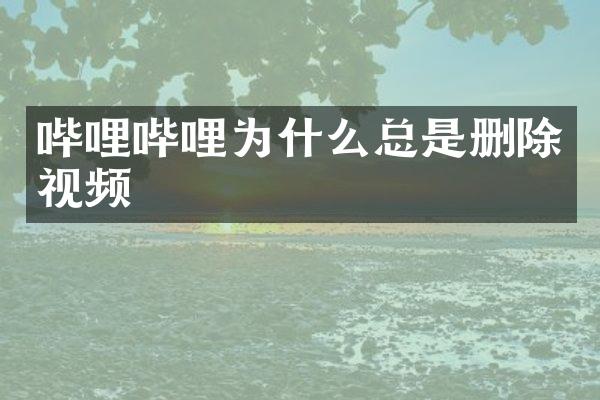 哔哩哔哩为什么总是删除视频