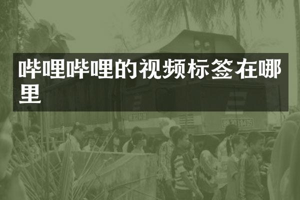 哔哩哔哩的视频标签在哪里