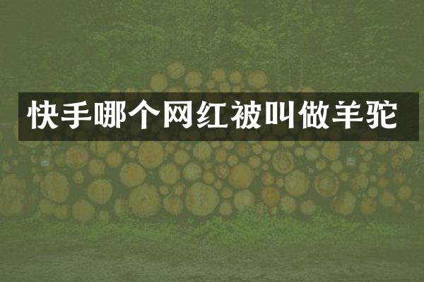快手哪个网红被叫做羊驼