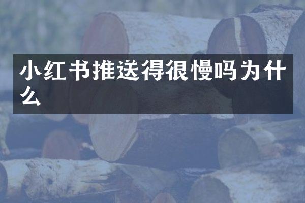 小红书推送得很慢吗为什么