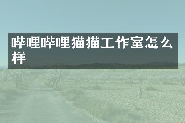 哔哩哔哩猫猫工作室怎么样