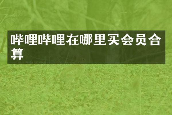 哔哩哔哩在哪里买会员合算