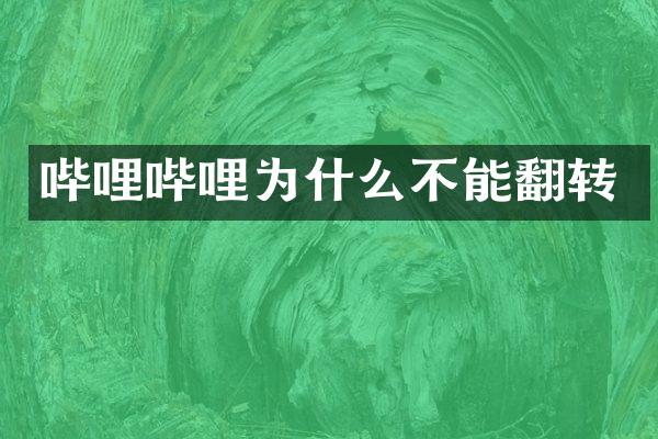 哔哩哔哩为什么不能翻转
